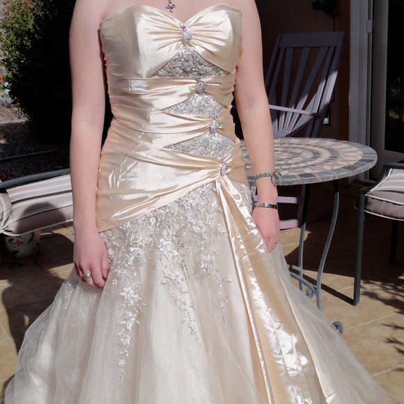 Strapless Prom/Wedding Gown - Picture 1 of 10